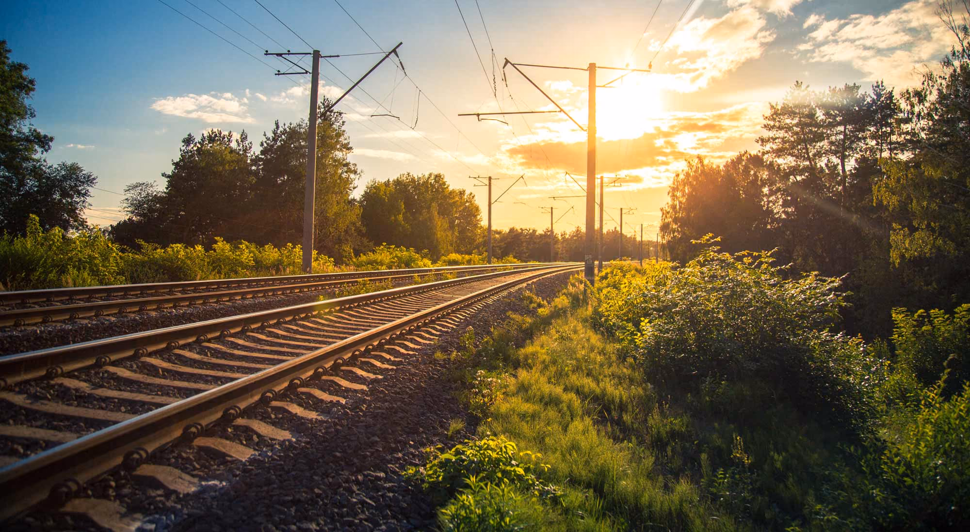 Railroad tracks curving through lush green trees and bushes under a bright sunlit sky.