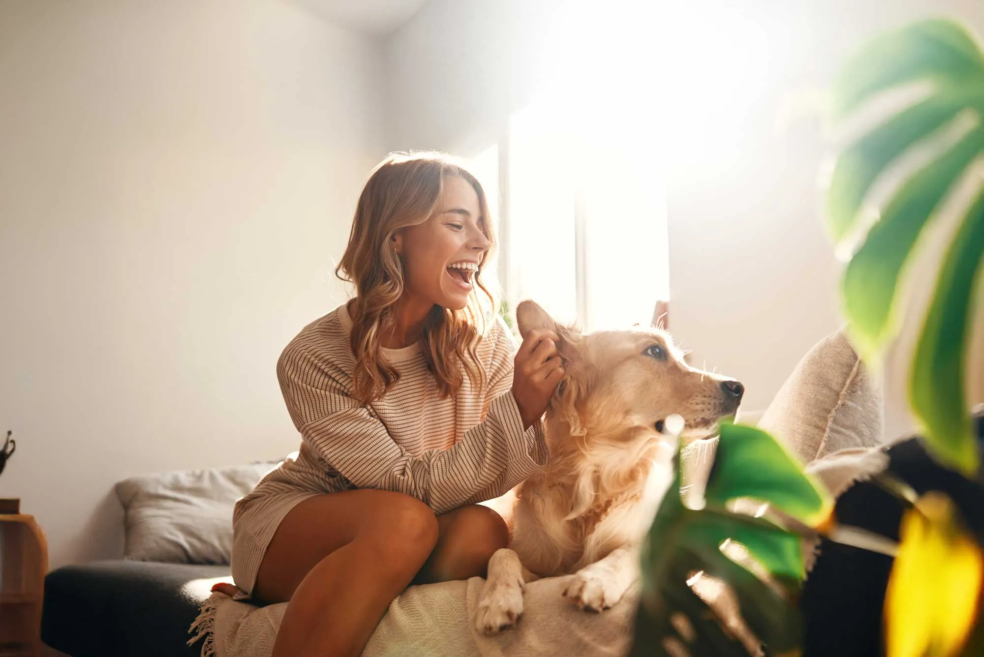 Smiling woman sitting on bed, playfully holding a golden retriever's ear in a sunlit room.