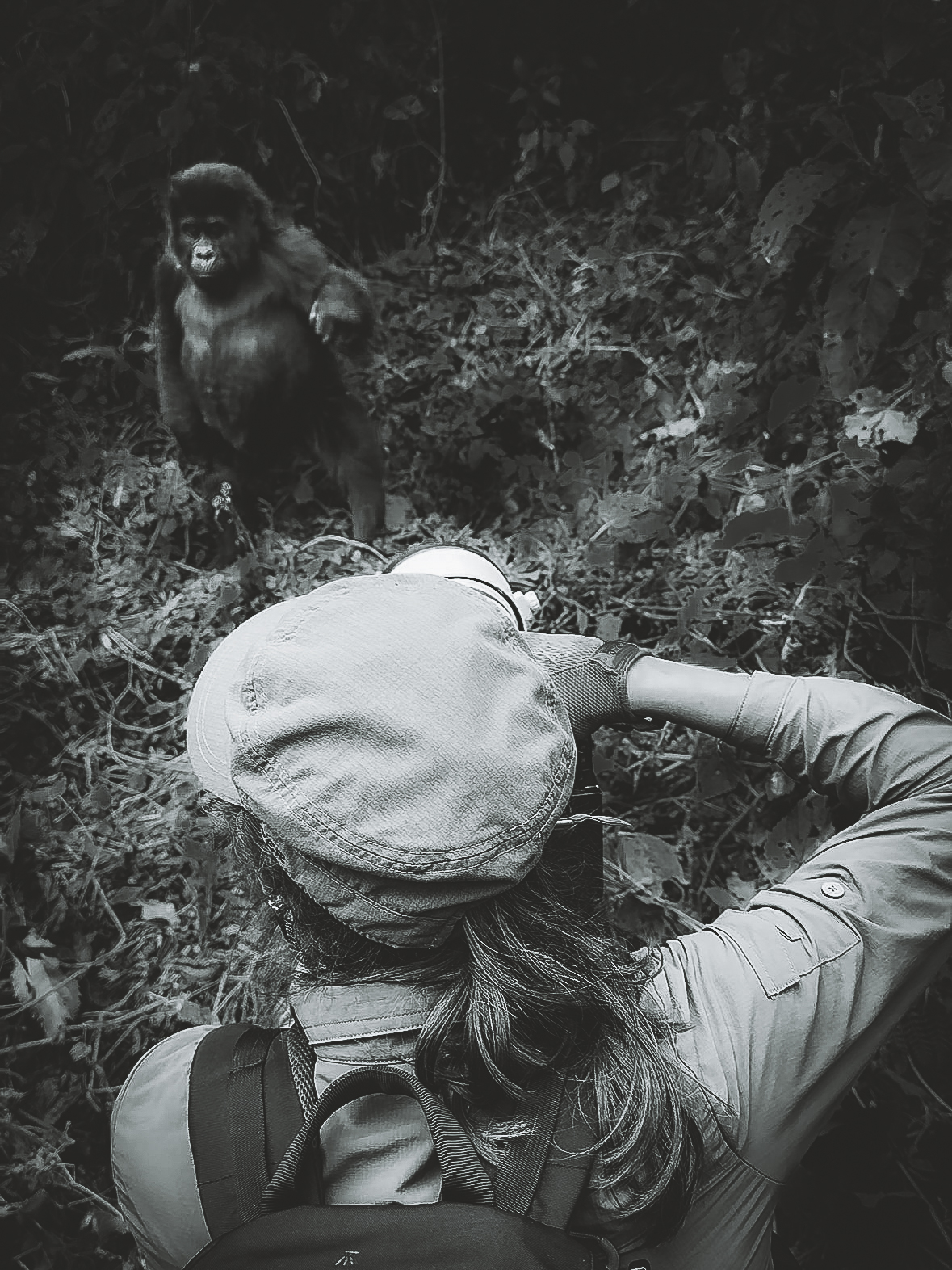 Cecile Gabillon  pointing a camera taking a picture of a young mountain gorilla