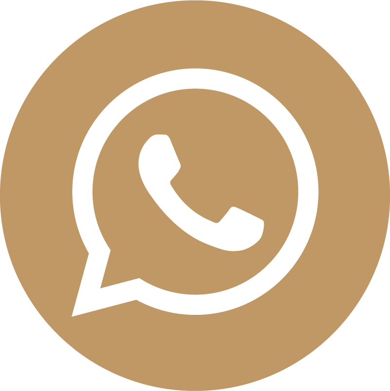WhatsApp Icon