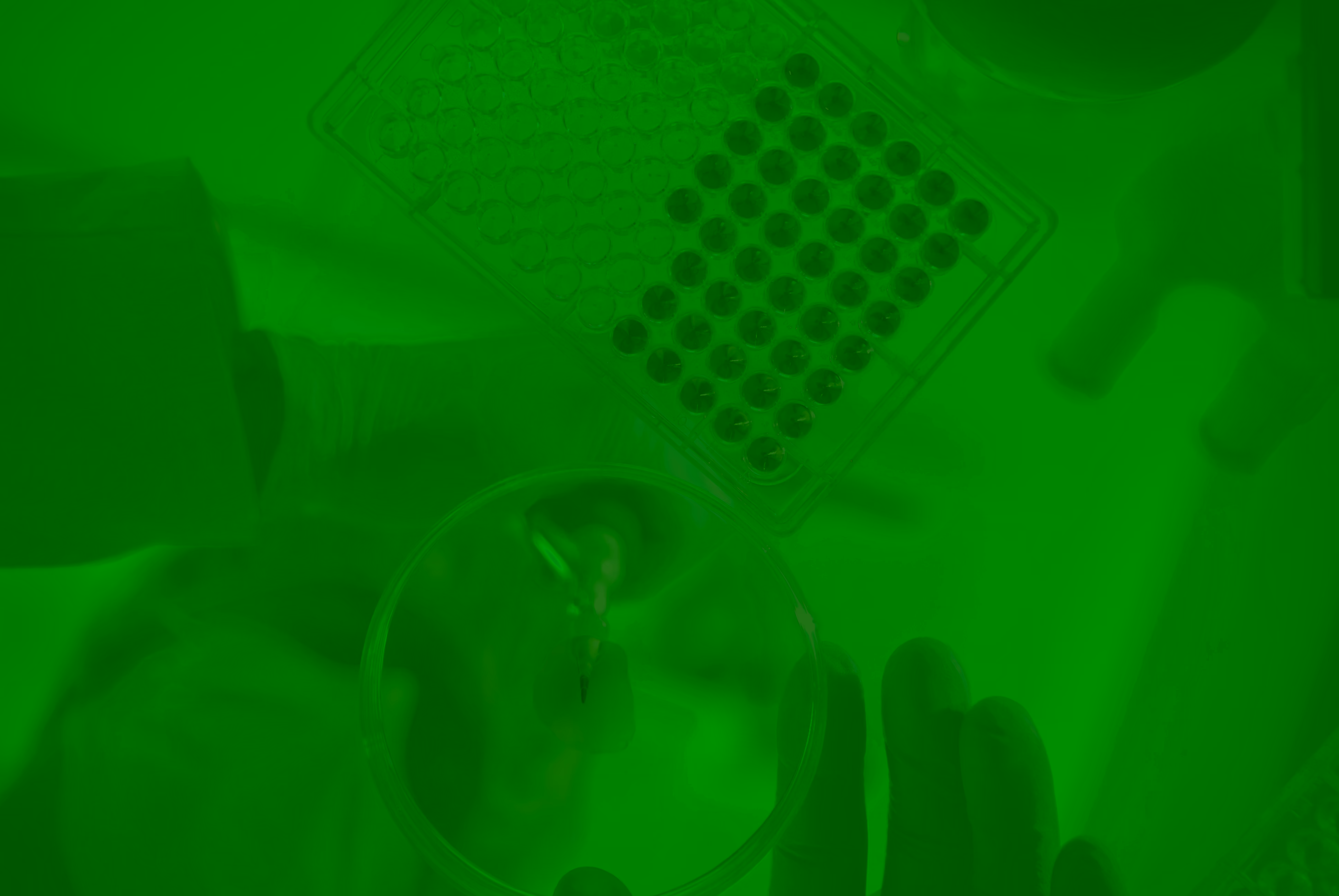 Researcher holding a petri dish above a sample plate in a laboratory