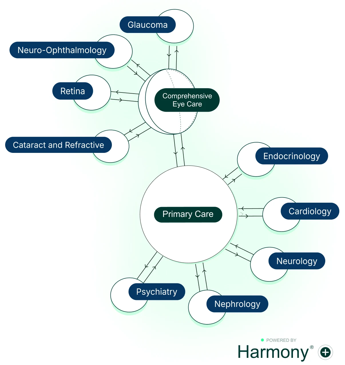 Patient Flow: patients are referred between comprehensive eye care and primary care, and on to glaucoma, neuro-ophthalmology, retina, cataract and refractive, endocrinology, cardiology, neurology, psychiatry and nephrology.