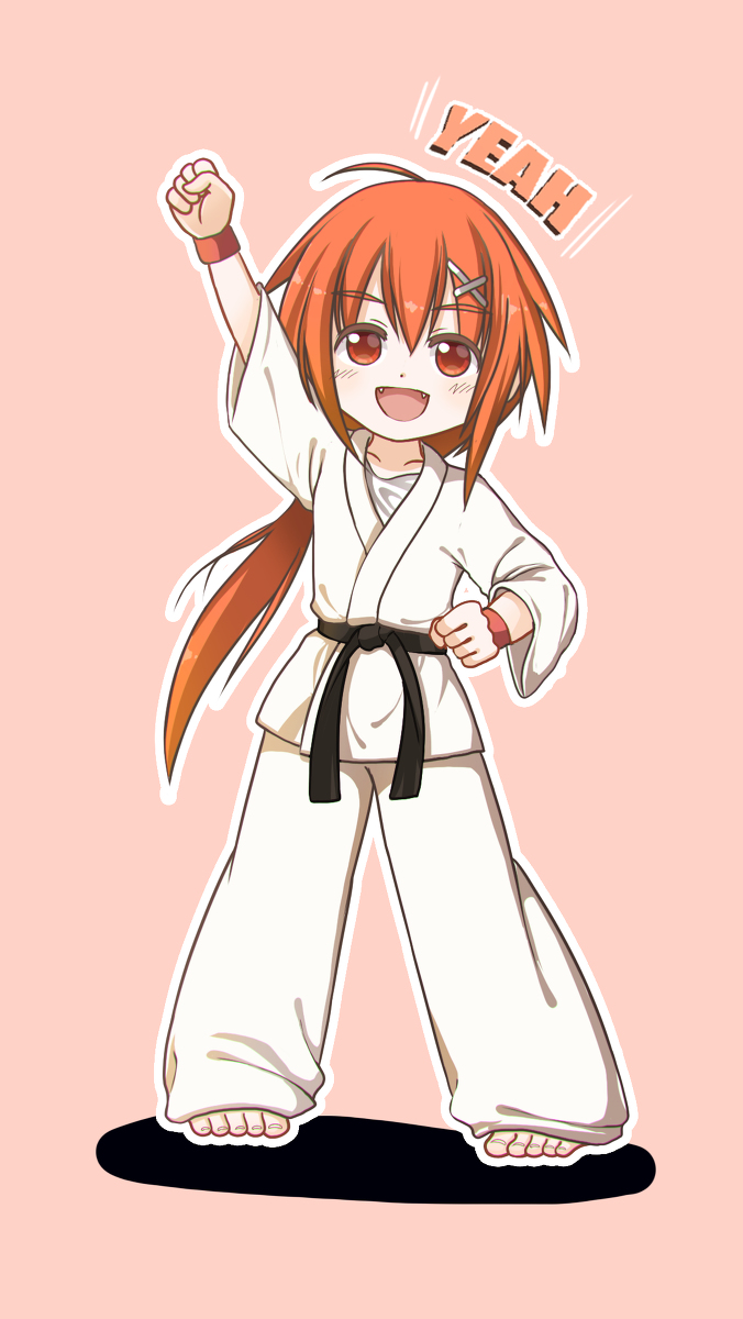 Historically one had to undergo YEARS of training in a classical dojo with a reputable teacher to drill techniques before being taught the next one to practice. Now, we can research and access Karate resources from teachers all over the world. With addition of uploaded training videos you can practice anywhere at anytime.