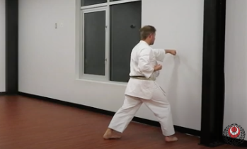 Karate classes offered online give you the freedom to train whenever and wherever you want. The content of some classes is short and standalone, while others include a series of training videos that can take weeks or months to complete. 