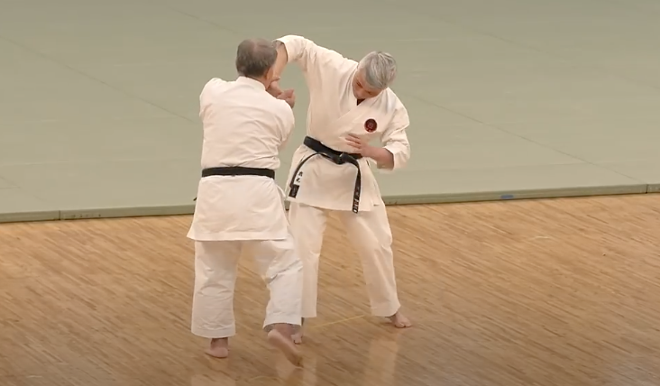 We teach ShitoRyu Karate, so we have HUGE respect for Goju Ryu Karate. Why? Because Shito Ryu Karate was actually derived 50% from Goju Ryu in Okinawa Japan! Goju Ryu is a popular martial art that is also known as Karate's'soft hard' style.