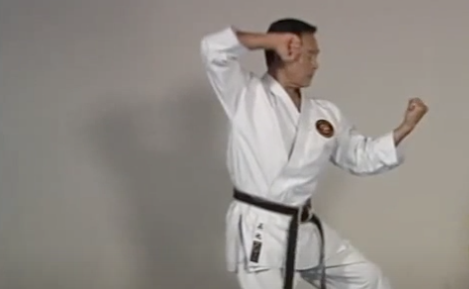 Shito-Ryu, a martial art that originated in West Japan, is one of the most well-known. As Shito-Ryu is a combination of the names of two historical Karate masters, it is a form of martial arts.In light of its adopted style and katas, Shito-Ryu Karate is commonly referred to as the blended style.
