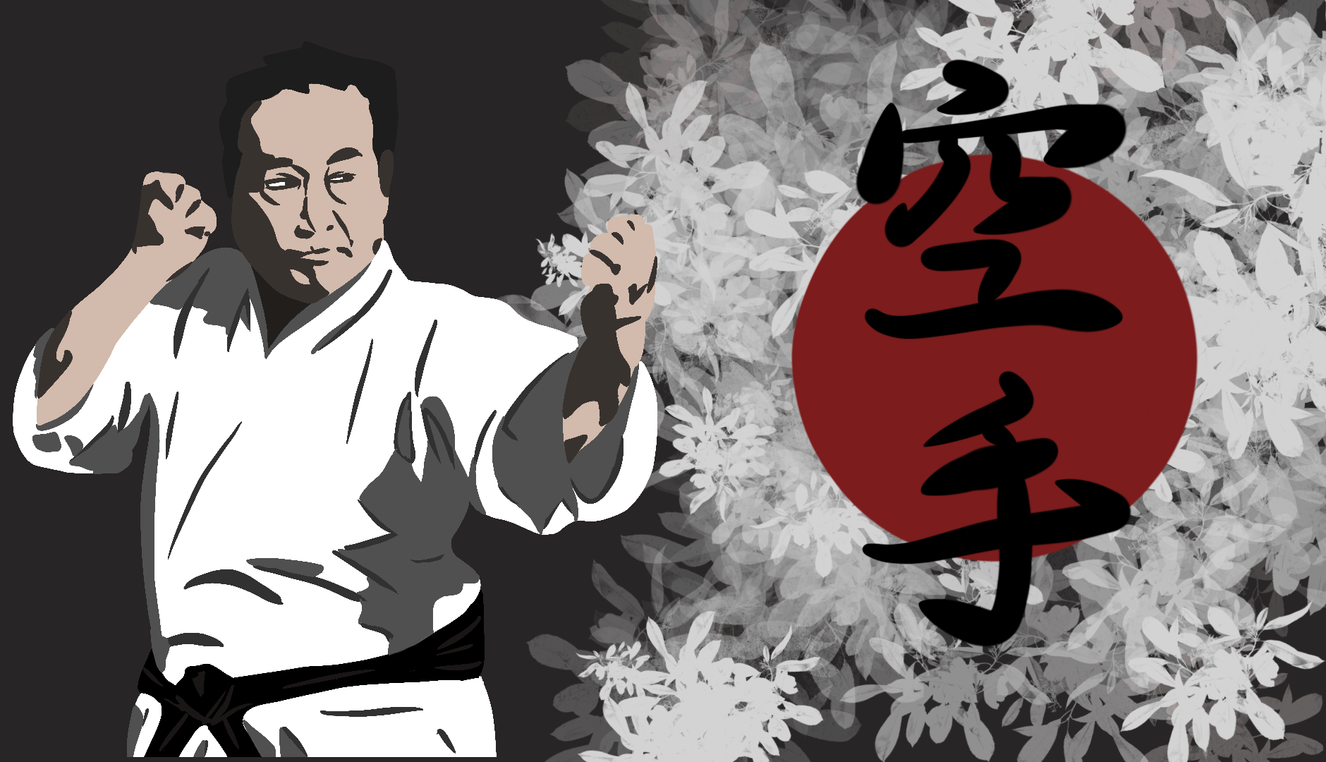 National Karate Kobudo Federation Karate Programs. Learn Karate Styles online and test for certification.