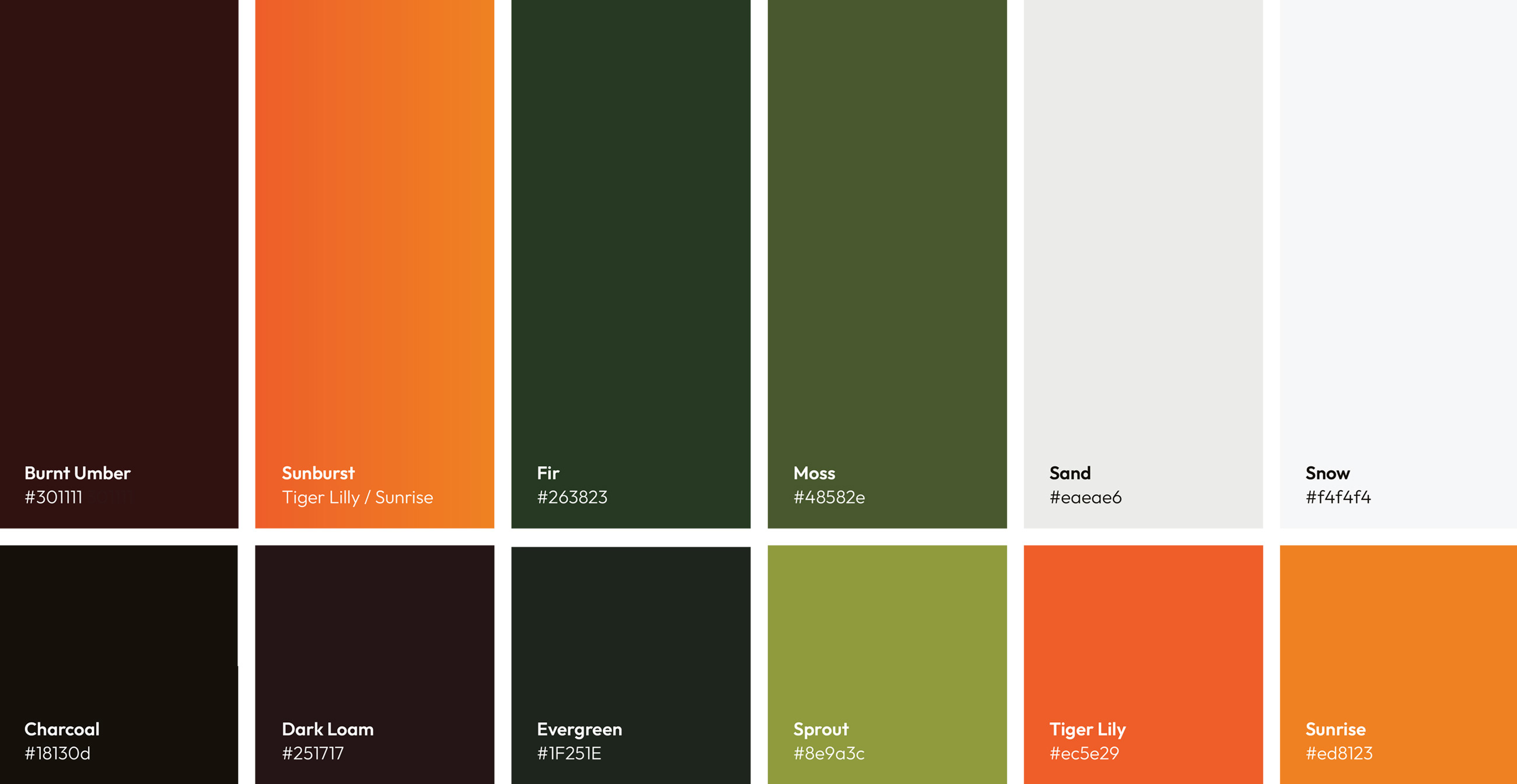 Roam Ecology color palette and color codes.