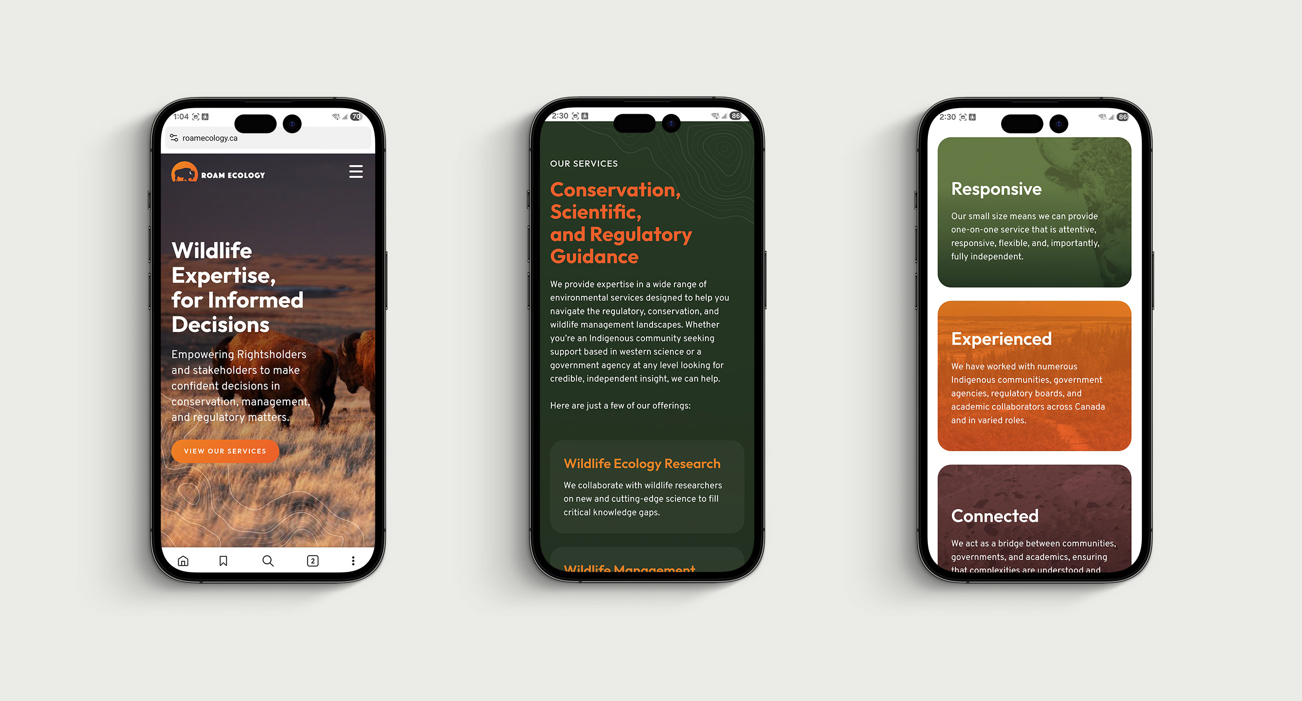 Roam Ecology website shown mocked up on a phone screen.