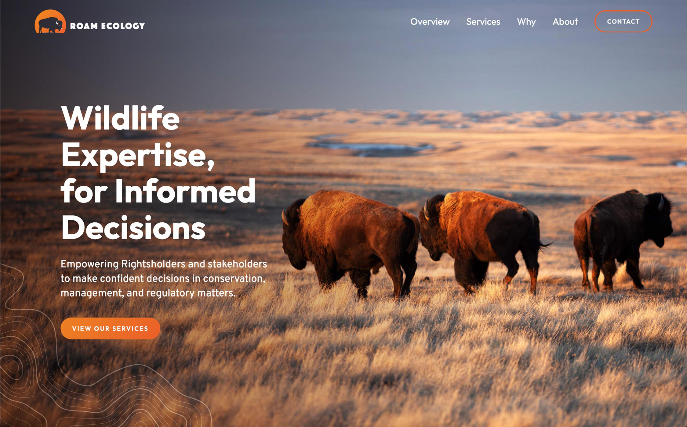 The hero image from the website, a field with bison.