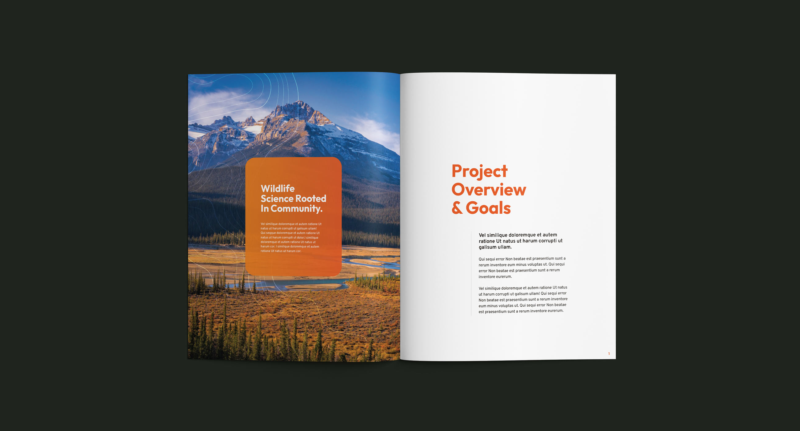 Sample inside spread of a report,