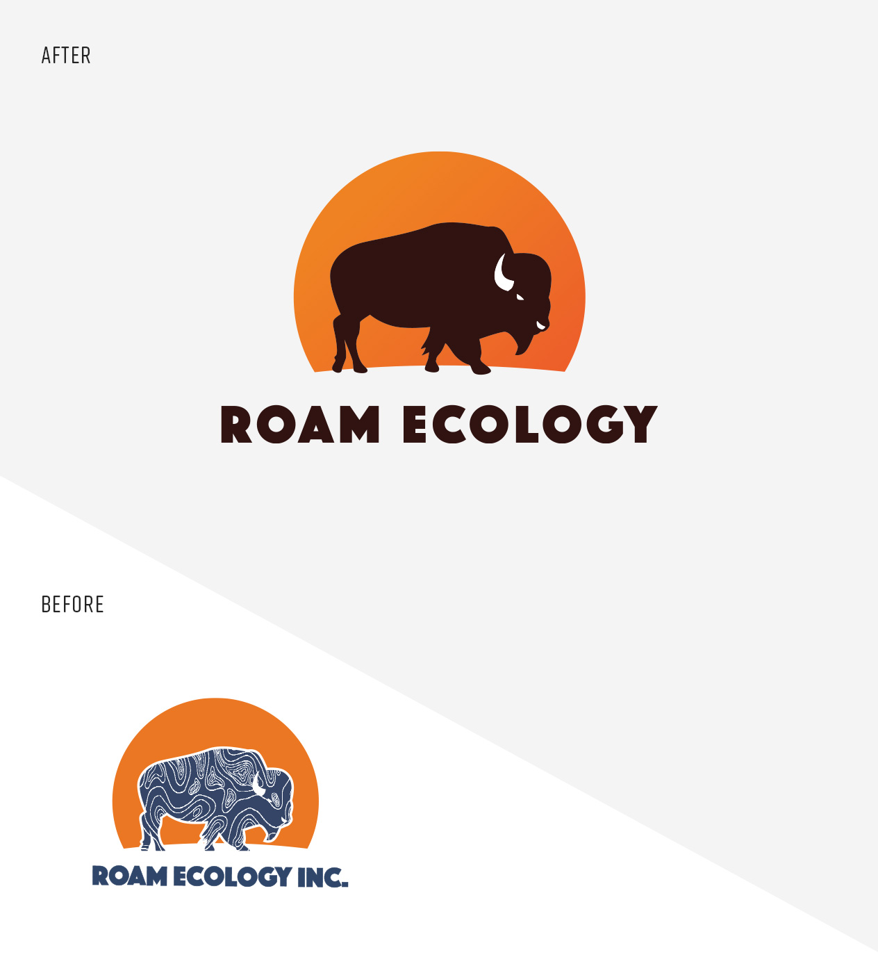 Before and after images of the Roam logo.