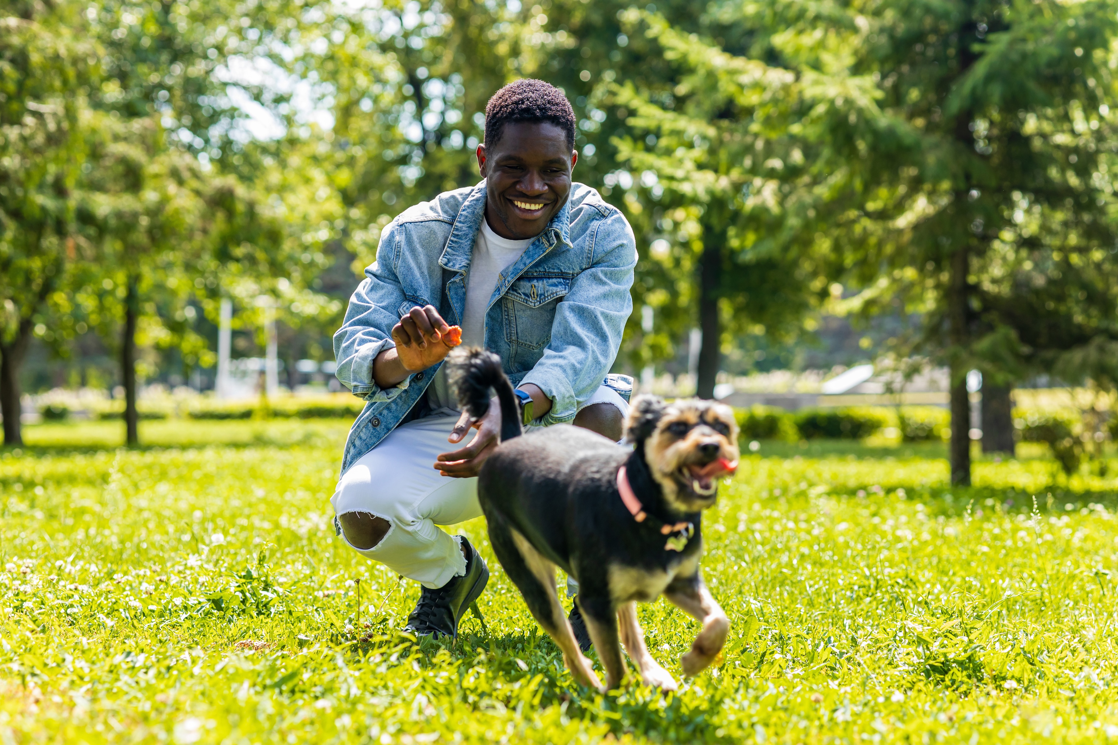 Man with dog stock image