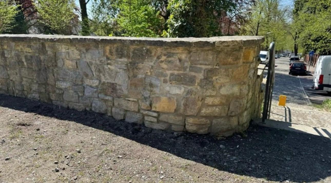Nahaufnahme eines mit Moos und Flechten bewachsenen Steinblocks vor grüner Vegetation.