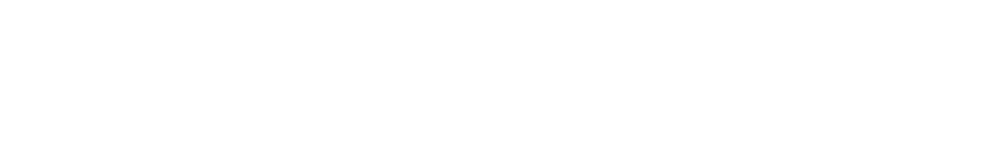 Stebortress brand logo in white text on a transparent background.