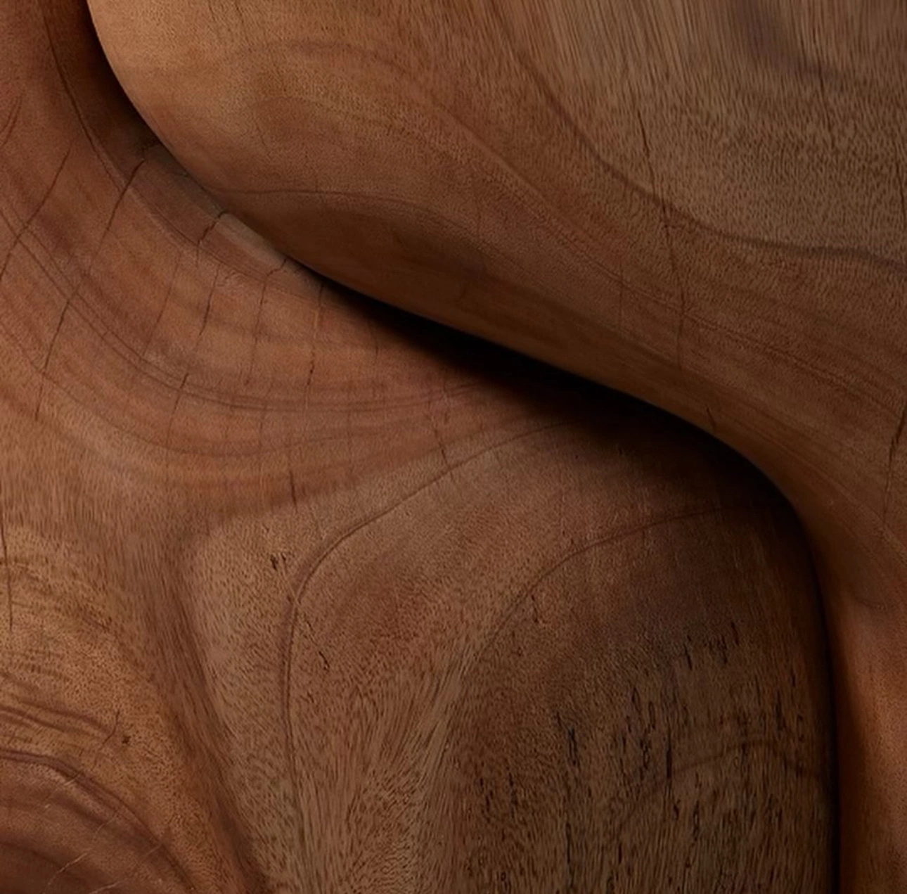 Close-up view of brown wood texture with natural grain and smooth curved surface.