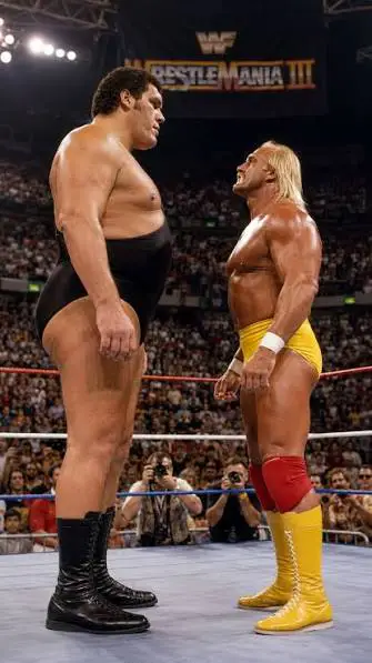 Hulk Hogan