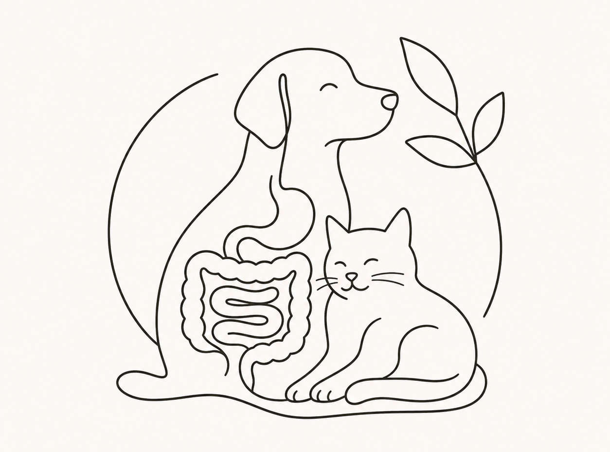 Line illustration of a dog and cat sitting together, with the dog's digestive tract illustrated inside its body.
