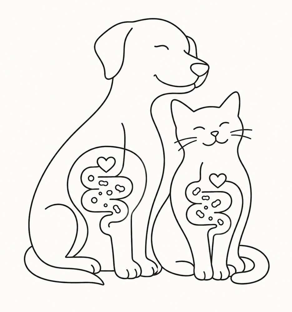 Line-art illustration of a dog and cat beside a bowl, representing gut health support.