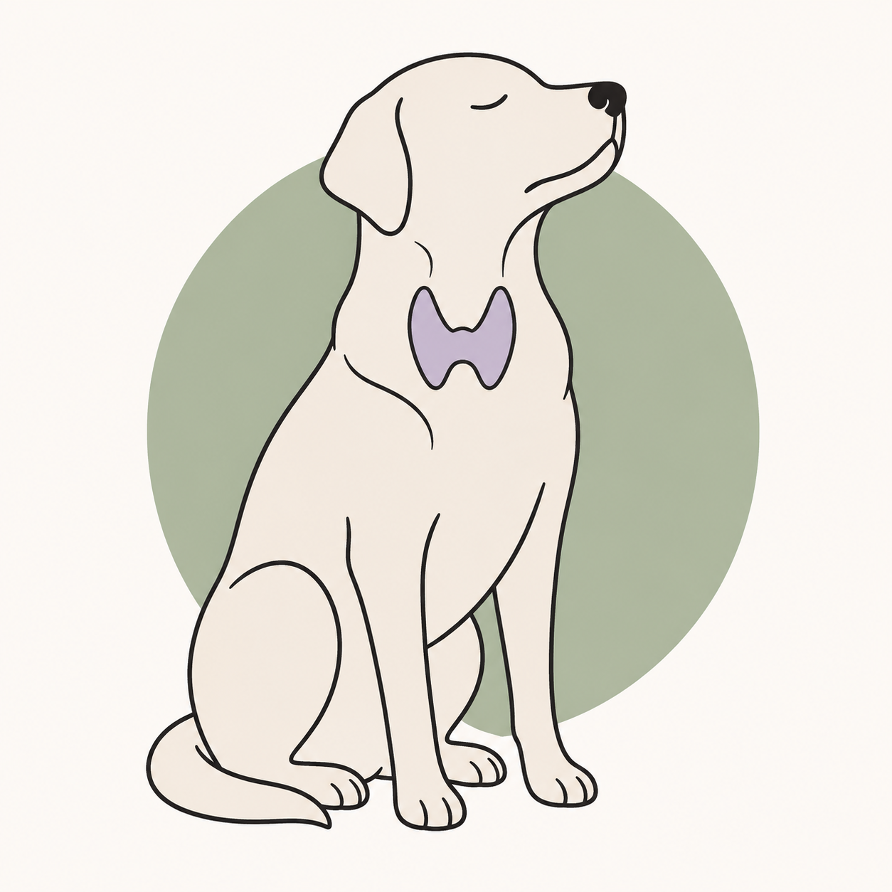 Line-art illustration of a calm dog with a highlighted thyroid gland at the neck, symbolizing the connection between canine hypothyroidism and seizures. Minimal editorial style with soft sage and lavender flat colors on a warm cream background.