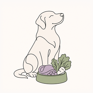 Holistic pet cancer prevention illustration showing a healthy dog beside a bowl of fresh, natural food. Minimalist editorial line-art with muted sage and lavender accents, representing natural nutrition, wellness, and holistic support for pets with cancer.