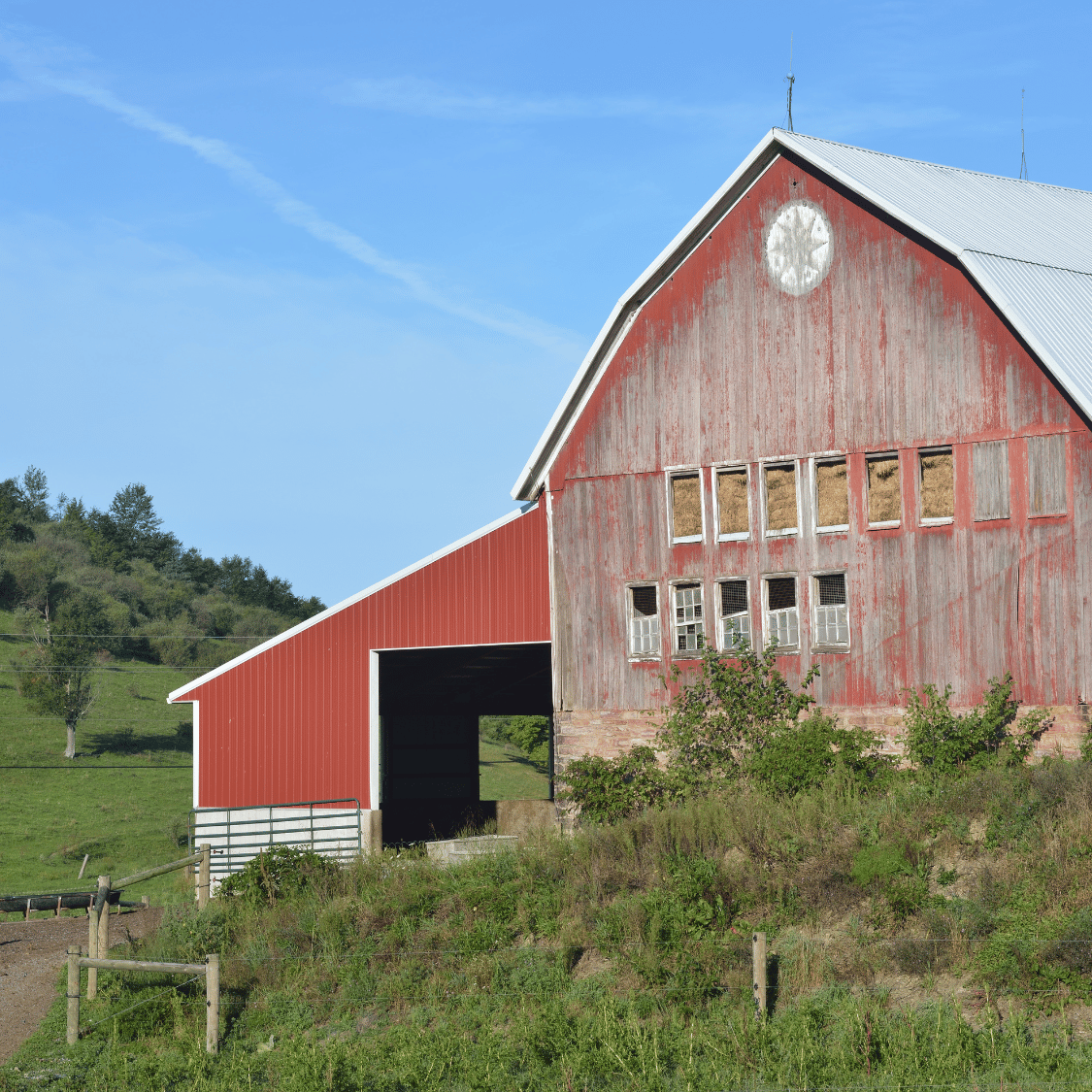 The Secret Language Painted on the Barns of University Valley