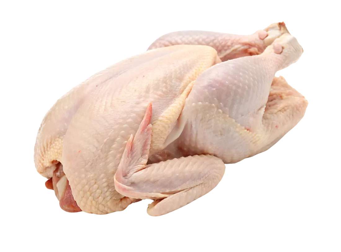 Premium chicken cut selection