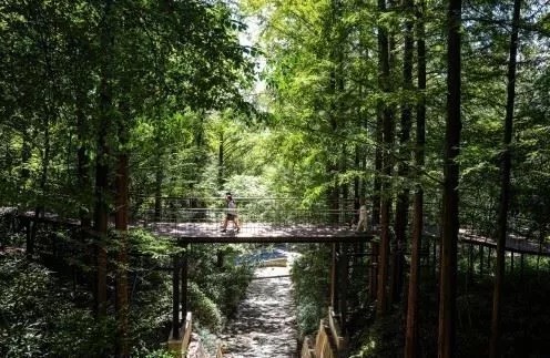 서울시 조경상 대상 '남산 하늘숲길'... 정원도시상 대상 '5분의 여유'
