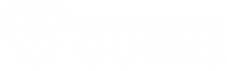 Logo Partner
