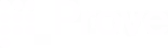 Logo Partner