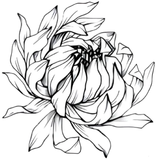 Asheville Massage and Wellness