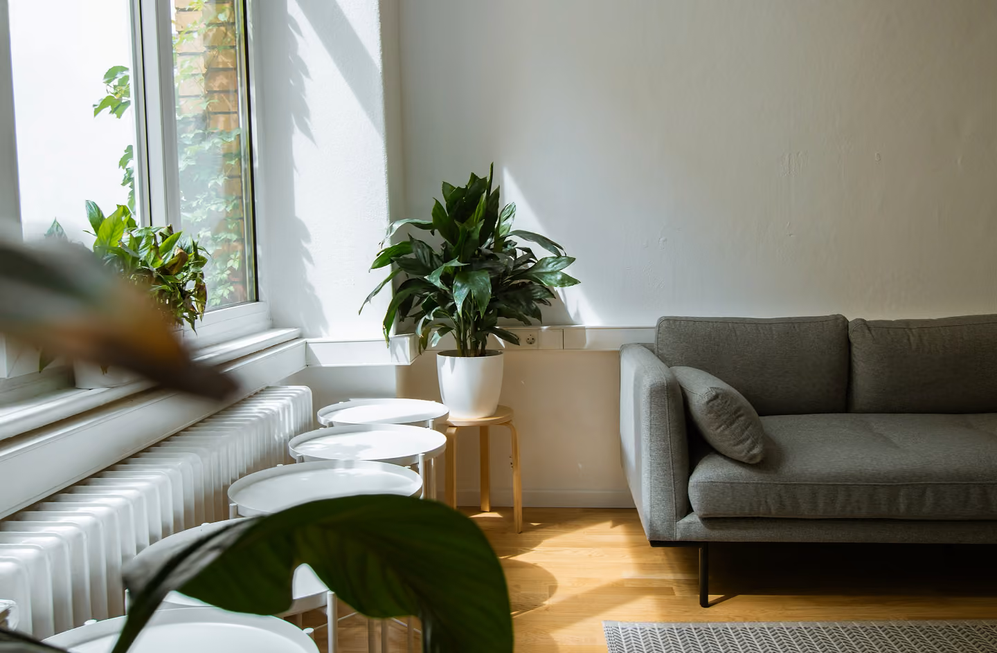 Bright room with gray sofa, potted green plant, several small round white tables, and large window.