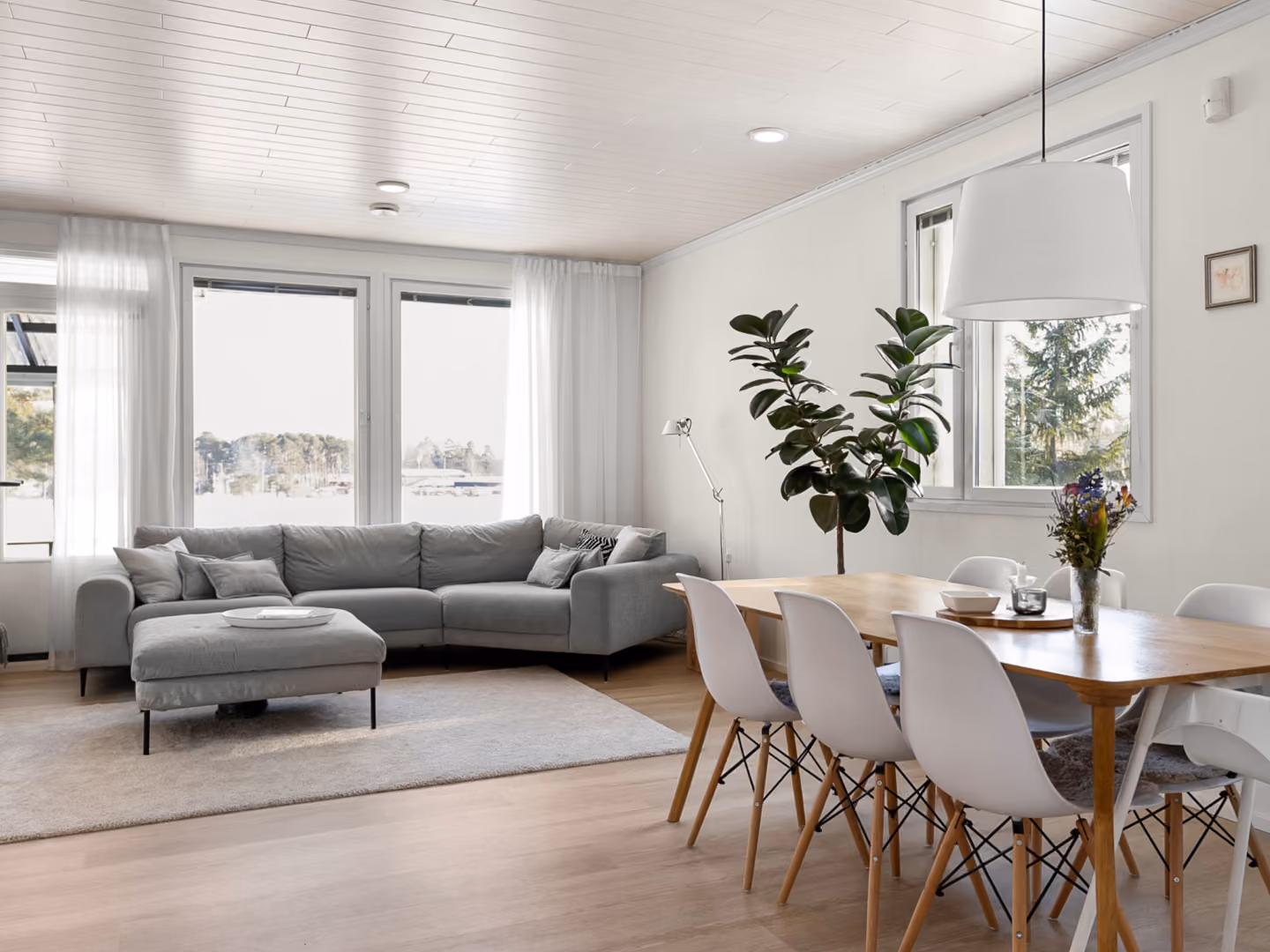 Modern living room with gray sofa, wooden dining table, white chairs, large plant, and hanging light.