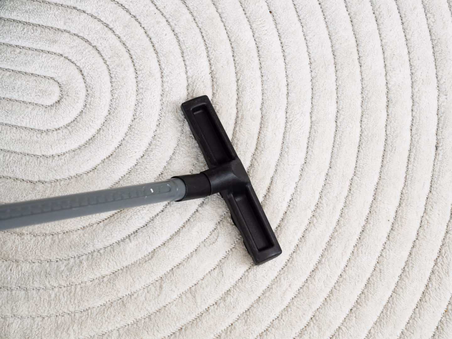 Vacuum cleaner head on a light textured carpet with circular patterns.