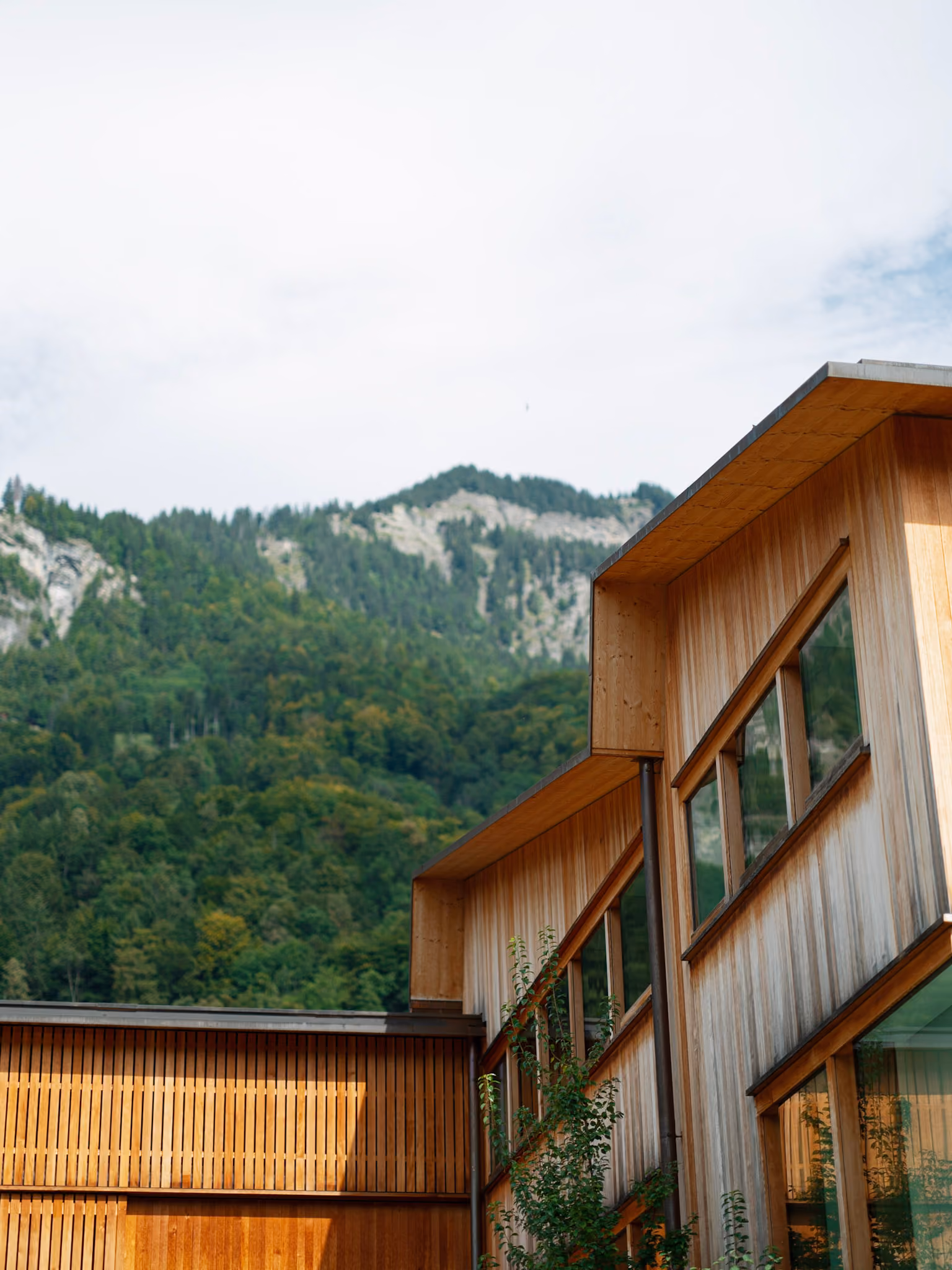 Modernes Holzgebäude vor bewaldetem Berg unter hellem Himmel.