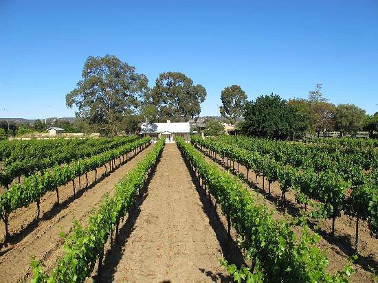 Swan Valley Wineries