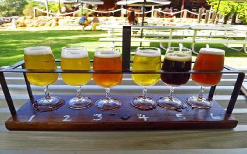 Top 5 Breweries in the Swan Valley