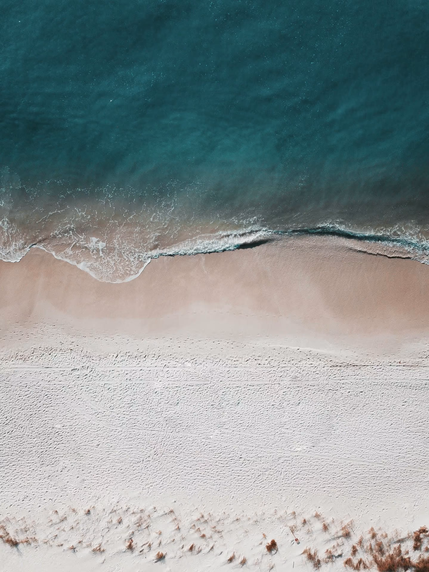 Aerial view of blue ocean waves gently reaching a sandy beach with scattered small shrubs on shore.