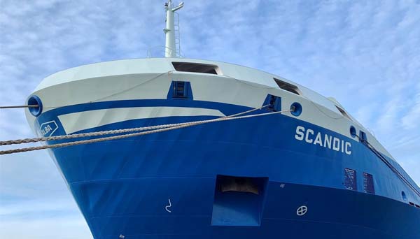 Close-up of Scandic's bow