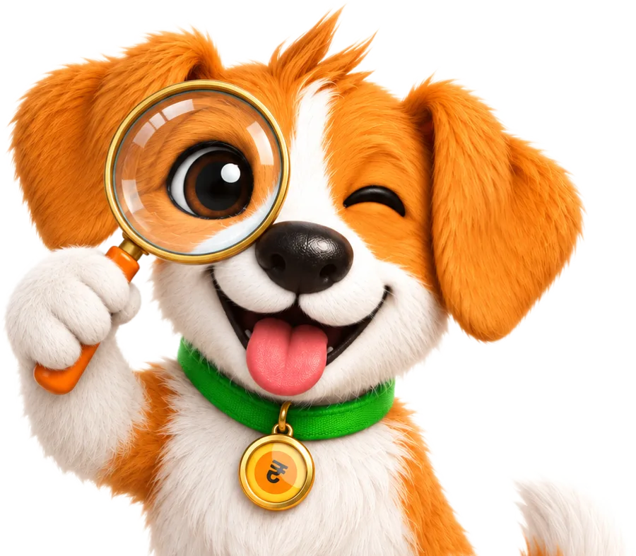 RupeeRedee mascot Redee checking terms with a magnifying glass