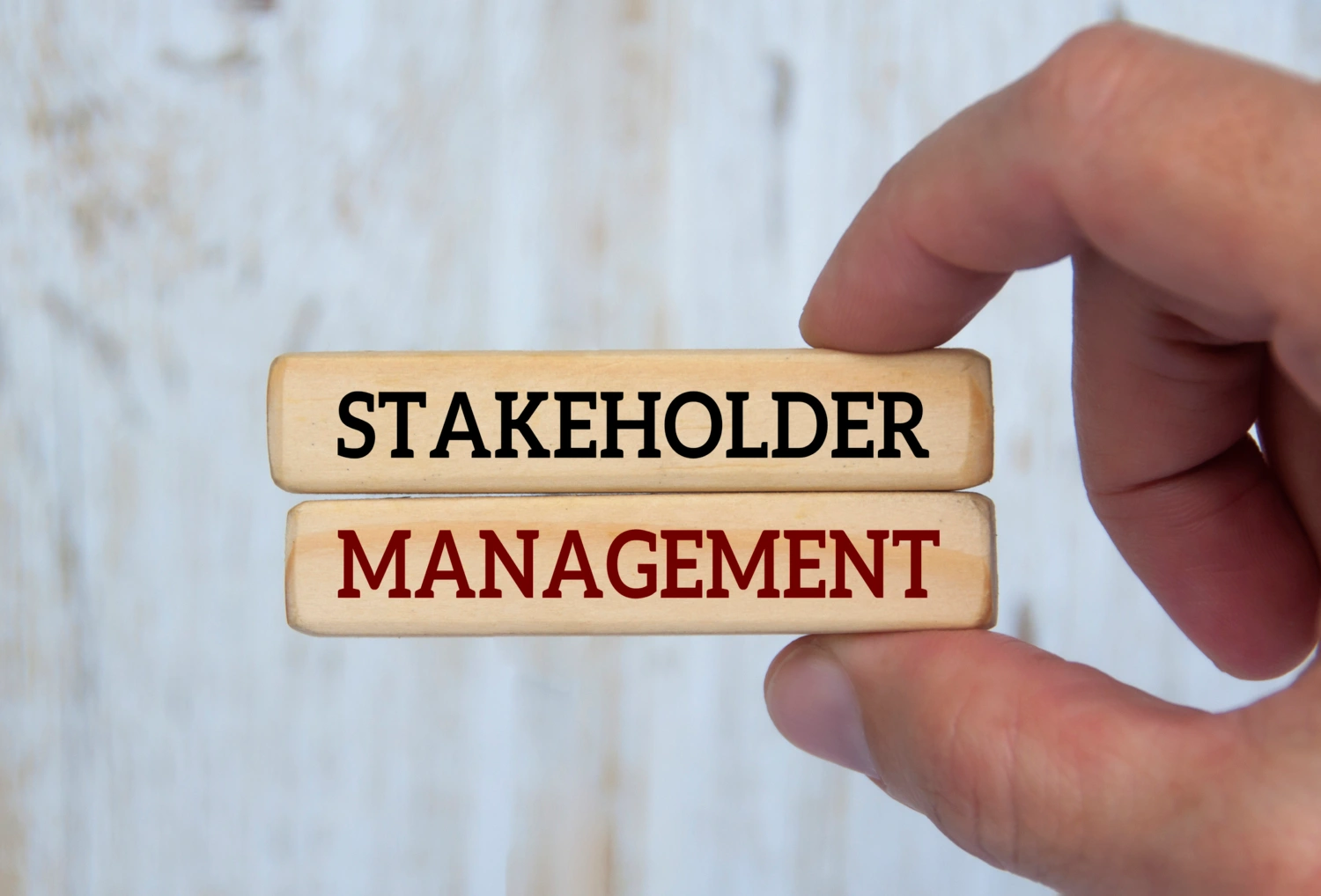 Shareholders’s Agreements image