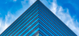 Business Restructuring & Reorganization