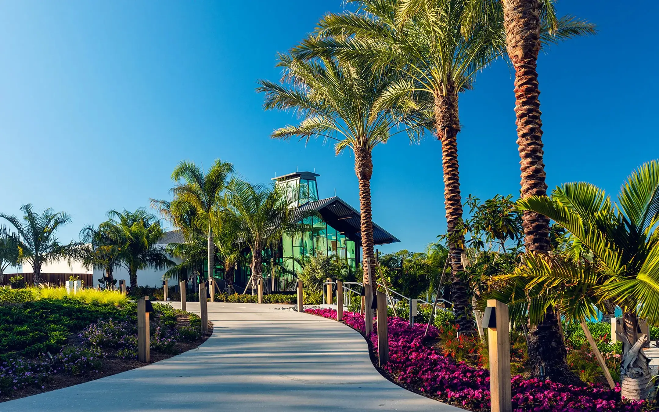 Curved pathway lined with palm trees and vibrant flowers leading to a modern glass building.