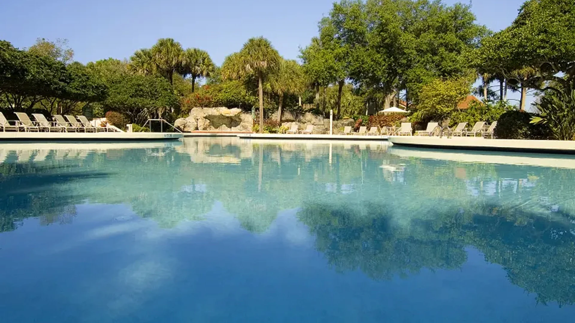 Large clear swimming pool surrounded by lounge chairs and lush green trees on a sunny day.