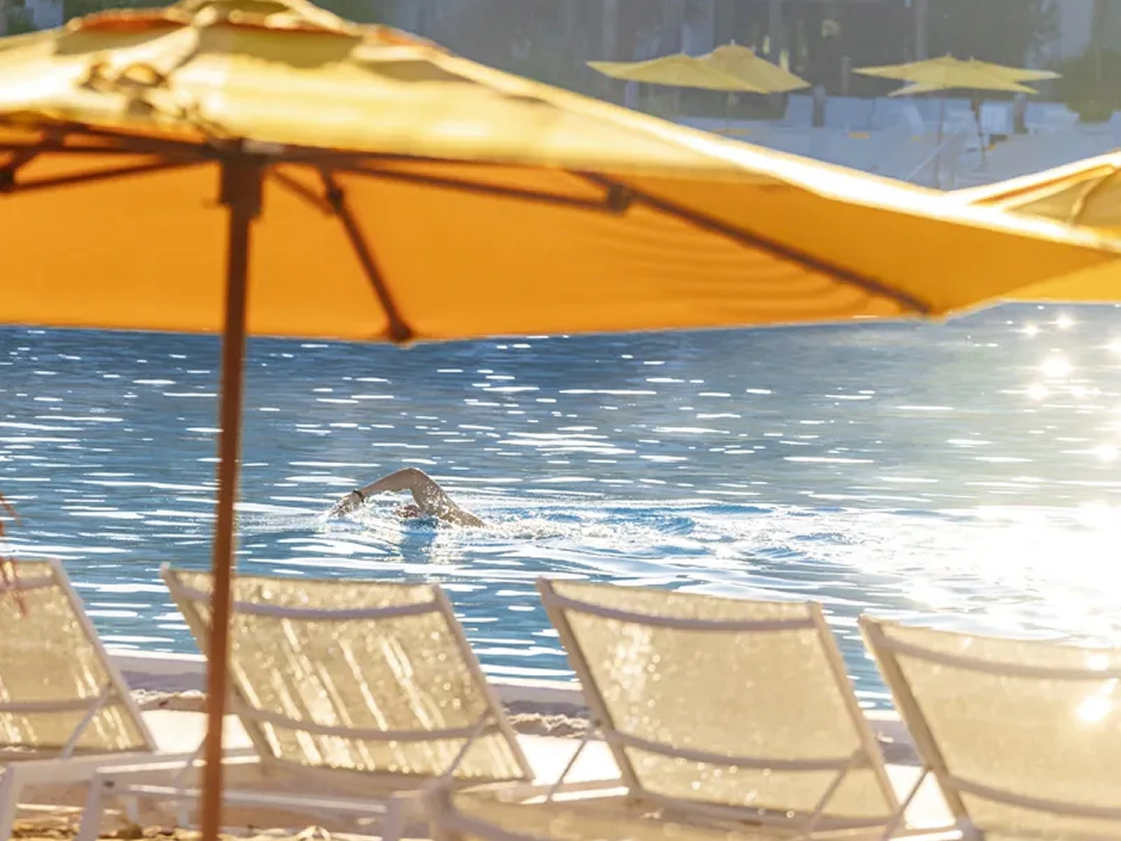 Swimmer in water viewed from beach with empty lounge chairs and yellow umbrellas in foreground.