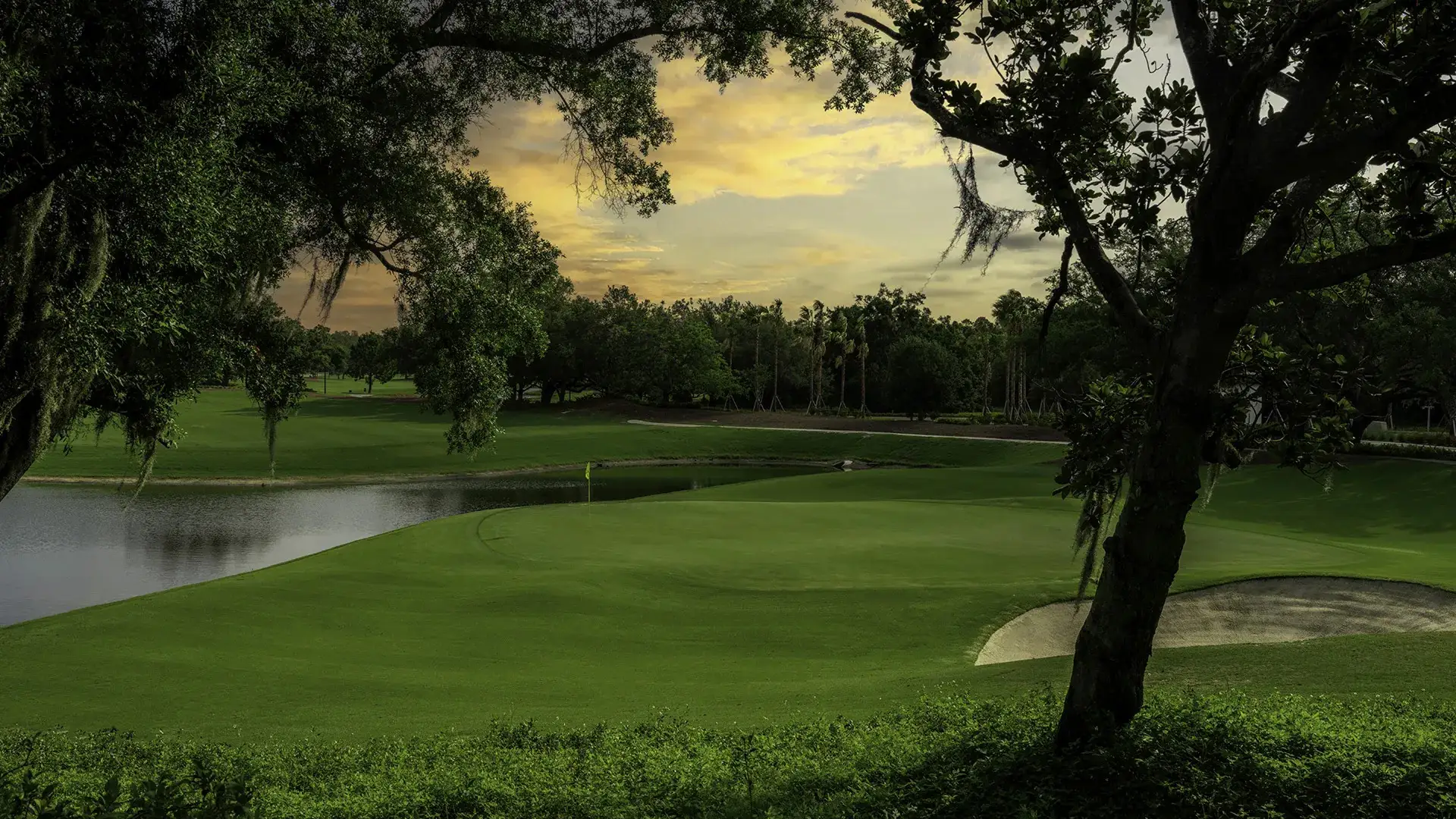 Golf course green with sand bunker and water hazard framed by trees at sunset.