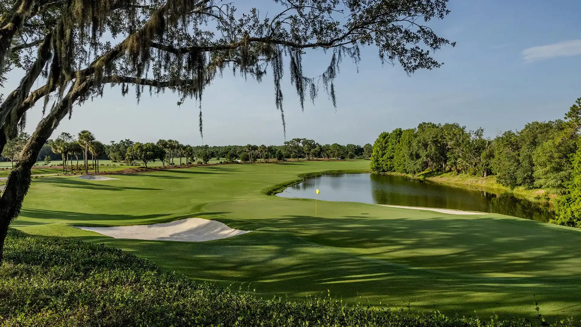 Golf course green with sand bunker, water hazard, and tree branches hanging overhead.