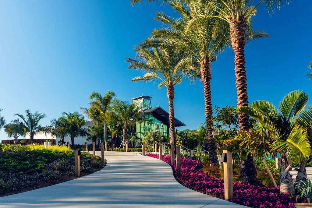 Curved walkway lined with palm trees and colorful flowers leading to a glass building under clear blue sky.