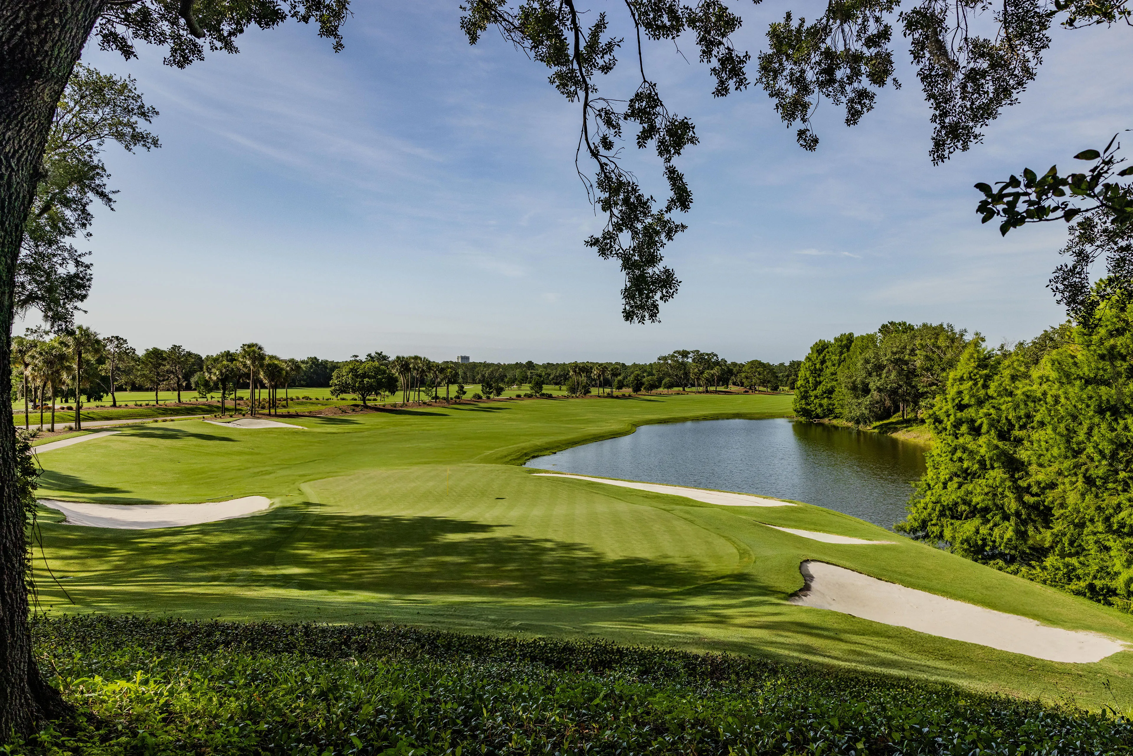 Cypress Hole 15 green