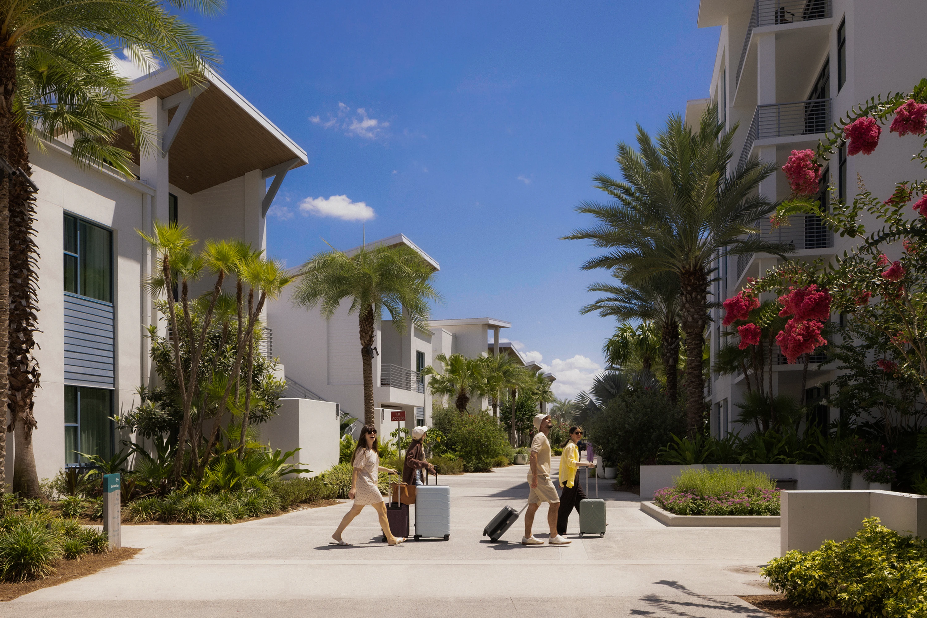 Four people crossing a sunny street between white buildings with luggage and palm trees around.